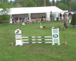 dressage horse Worldground (Hanoverian, 2005, from Weltregent H)