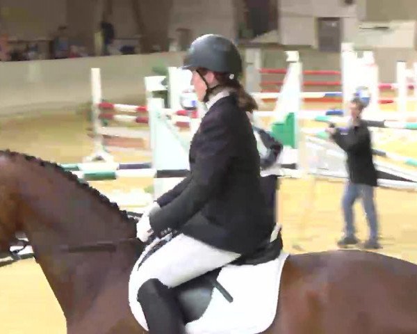 jumper Quno W (Hanoverian, 2007, from Quidam's Rubin)