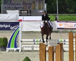 dressage horse Liberty 257 (Hanoverian, 2000, from Landclassic)