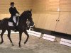 dressage horse Lord of Luck (Hanoverian, 2001, from Landclassic)