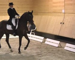 dressage horse Lord of Luck (Hanoverian, 2001, from Landclassic)