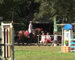 jumper Lacoste 88 (Hanoverian, 2001, from Landclassic)