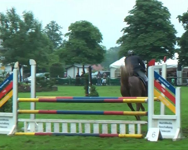 jumper Lady Jane S (Hanoverian, 2007, from Langer Jan)