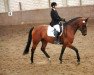 horse Whitney 308 (Hanoverian, 1999, from Weltmeyer)