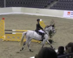 jumper Salita (Hanoverian, 2006, from Salito)