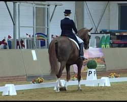 dressage horse Bridgett (Hanoverian, 2004, from Brentano II)