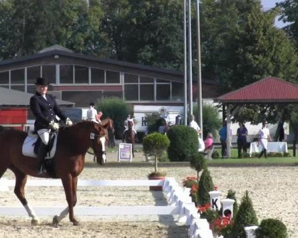 dressage horse Longdrink 4 (Hanoverian, 2003, from Londonderry)