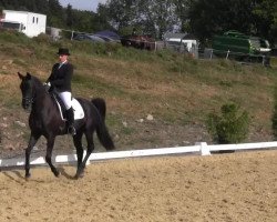 broodmare Raggedy Ann (Hanoverian, 2005, from Rotspon)