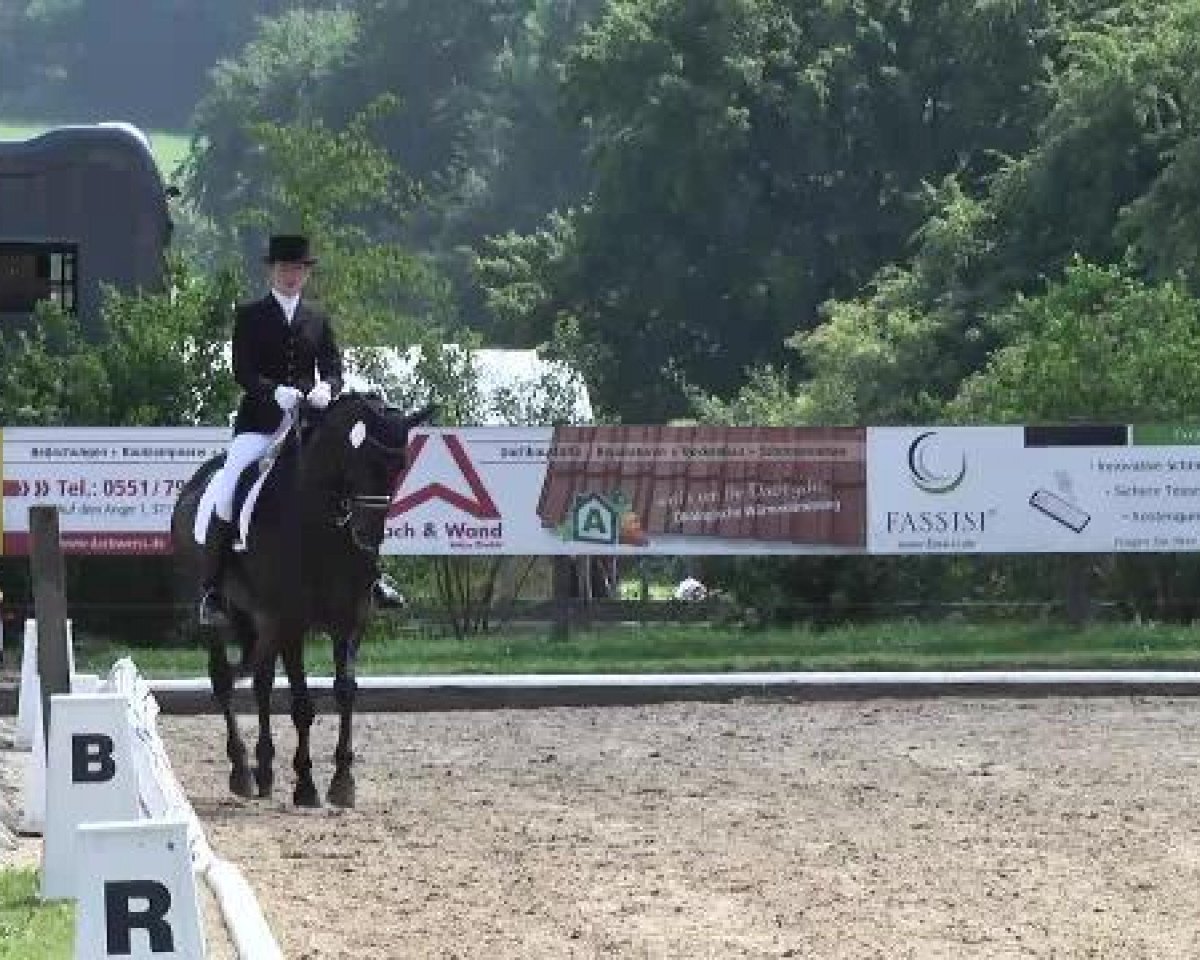 dressage horse Wanjiko (Hanoverian, 2003, from Wolkenstein II)