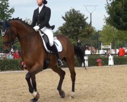 dressage horse Luxor D (Hanoverian, 2008, from Lauries Crusador xx)