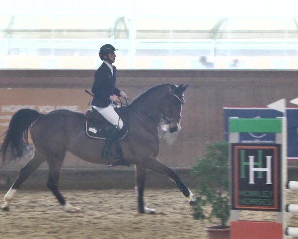 Reitturnier Gut Winkelacker/Obb. 2021