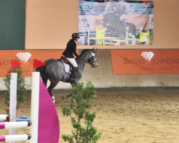 Reitturnier Gut Winkelacker/Obb. 2021