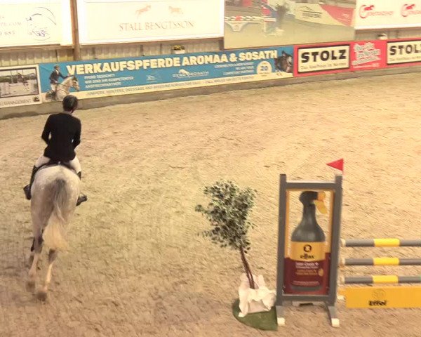 Reitturnier Negernbötel 2021, 11. Nordic Jumping event 2020/2021