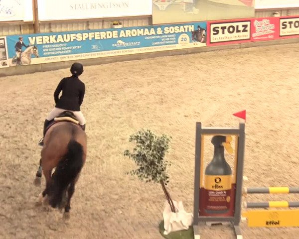 Reitturnier Negernbötel 2021, 11. Nordic Jumping event 2020/2021