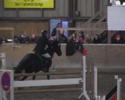 jumper Emma 201 (Hanoverian, 2006, from Escudo I)