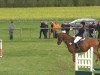 dressage horse Willoughby 8 (Hanoverian, 2000, from Wolkentanz I)