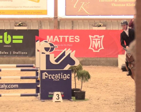 Reitturnier Negernbötel 2021, 11. Nordic Jumping event 2020/2021