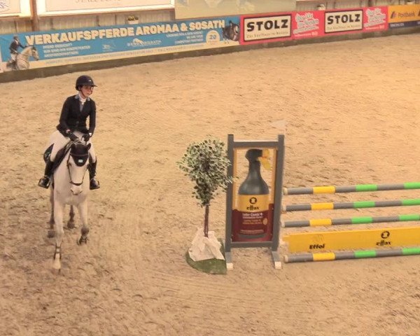 Reitturnier Negernbötel 2021, 11. Nordic Jumping event 2020/2021