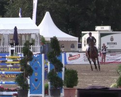 jumper Stoertebeeker E (Hanoverian, 2002, from Stakkato)