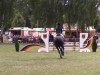 jumper Chap 45 (Hanoverian, 2004, from Conteur)