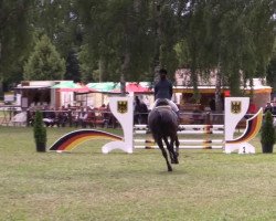 jumper Chap 45 (Hanoverian, 2004, from Conteur)