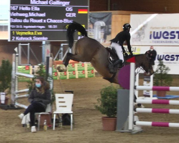Reitturnier Gut Winkelacker/Obb. 2021