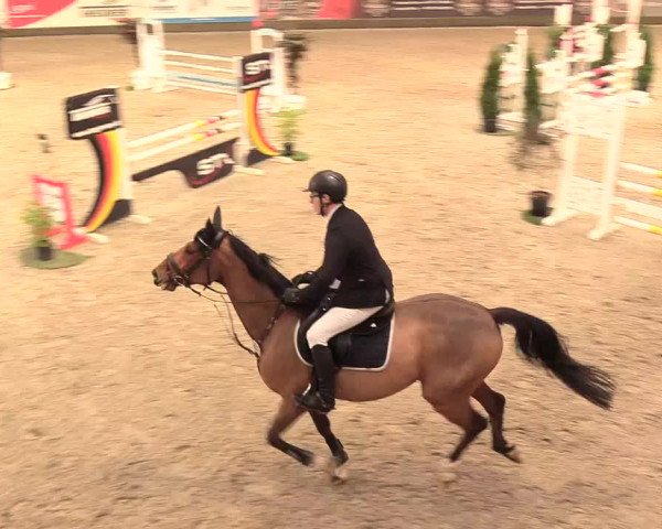 Reitturnier Negernbötel 2021, 11. Nordic Jumping event 2020/2021