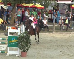 jumper Caruso Cash (Hanoverian, 2001, from Chasseur I)