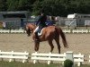 dressage horse Wie Wolkenstein (Hanoverian, 2000, from Wolkenstein II)