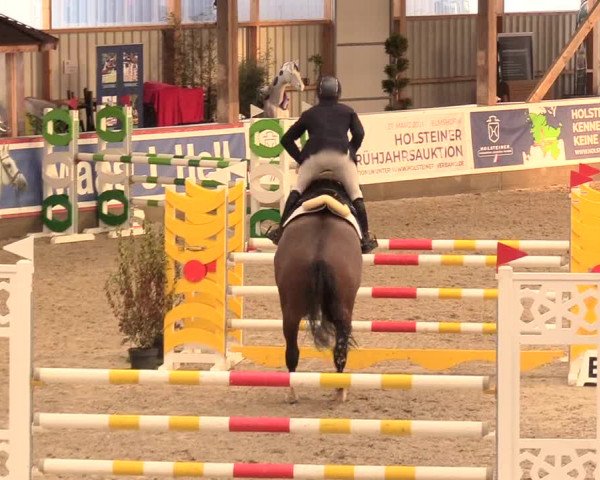 Reitturnier Negernbötel 2021, 11. Nordic Jumping event 2020/2021