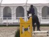 jumper Don Salut (Hanoverian, 2007, from Don Frederico)