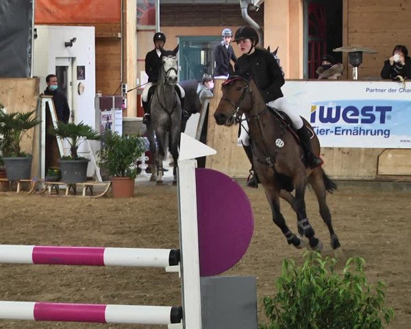 Reitturnier Gut Winkelacker/Obb. 2021