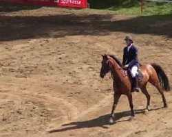 jumper Carla 143 (Hanoverian, 2007, from Chasseur I)