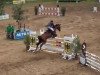 jumper Pepino 205 (Hanoverian, 2007, from Perigueux)