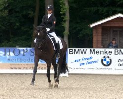 dressage horse Shadow's Dream (Hanoverian, 2006, from Sandro Hit)