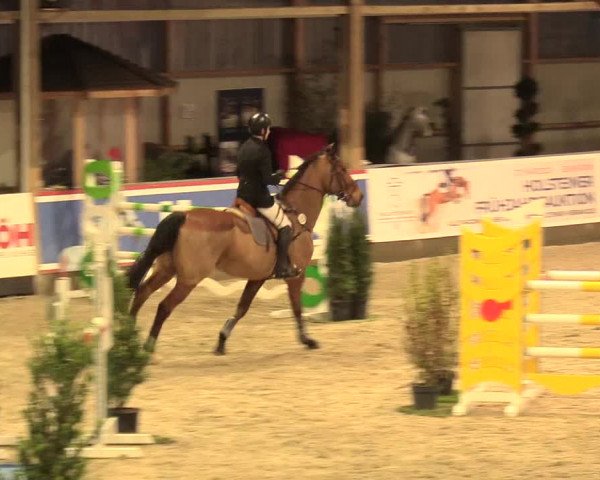 Reitturnier Negernbötel 2021, 11. Nordic Jumping event 2020/2021