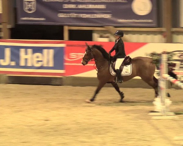 Reitturnier Negernbötel 2021, 11. Nordic Jumping event 2020/2021