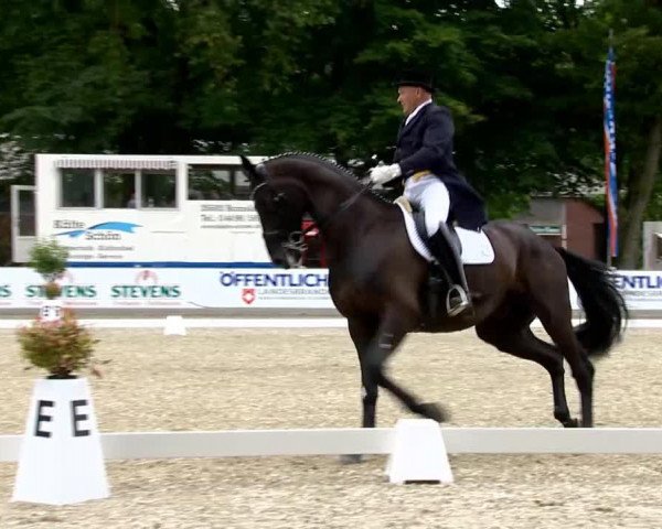 dressage horse Havalon (Hanoverian, 2007, from Hotline)