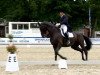 dressage horse Havalon (Hanoverian, 2007, from Hotline)