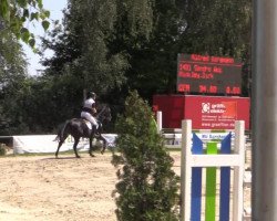 jumper Sandro Roc (Hanoverian, 2002, from Sandro Hit)