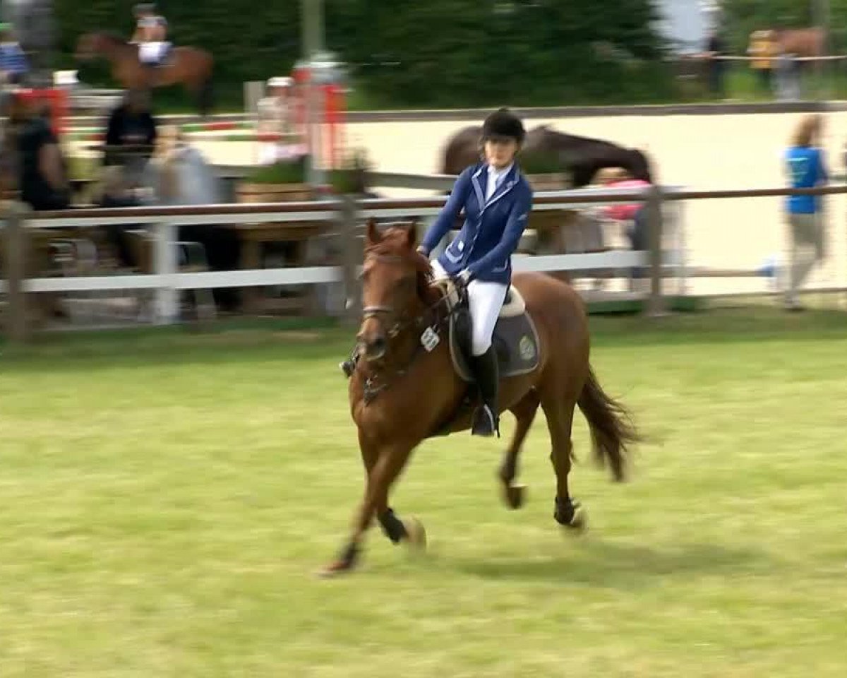 jumper Filia Florencii (Hanoverian, 2007, from Florencio I)