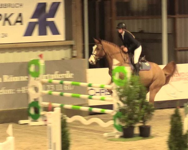 Reitturnier Negernbötel 2021, 11. Nordic Jumping event 2020/2021