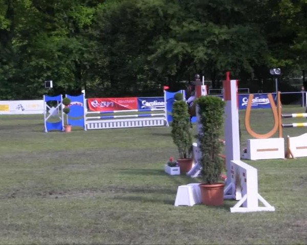 jumper Leroy T (Hanoverian, 2004, from Landjonker (Fruhling))