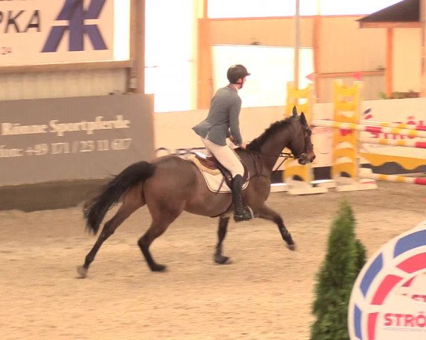 Reitturnier Negernbötel 2021, 11. Nordic Jumping event 2020/2021