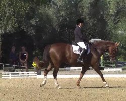 dressage horse Lieschen M (Hanoverian, 2002, from Lordanos)