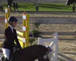 dressage horse Lucky Boy 208 (Mecklenburg, 2003, from Limes)