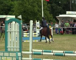 dressage horse Don't Touch 19 (German Riding Pony, 2006, from Destino R)