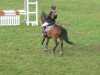 jumper Finess (German Riding Pony, 2000, from Fiorello)