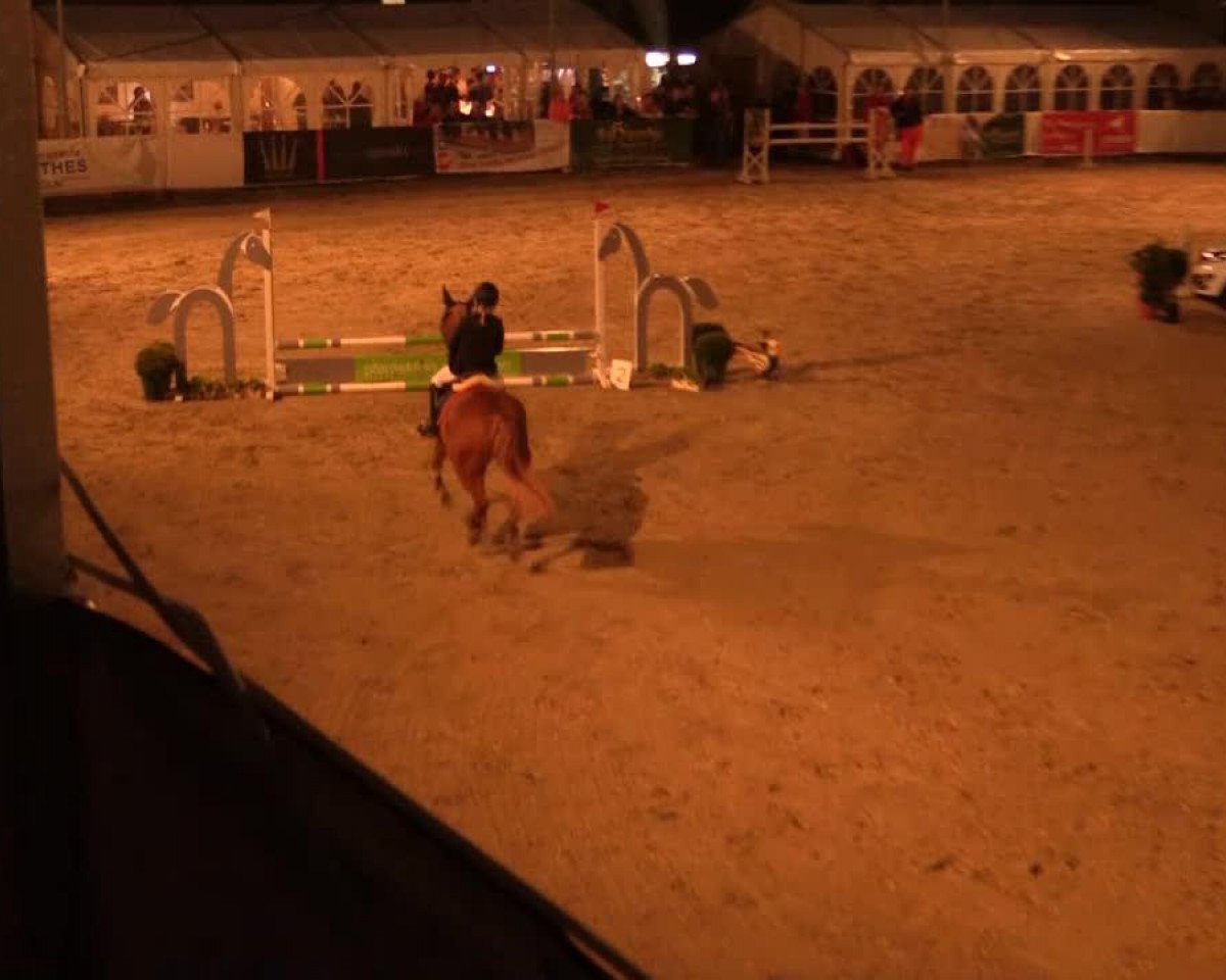 jumper Caramel (German Riding Pony, 2005, from Aragon N)