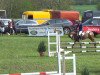 jumper Massimo (German Riding Pony, 2003, from Mac Geyver)